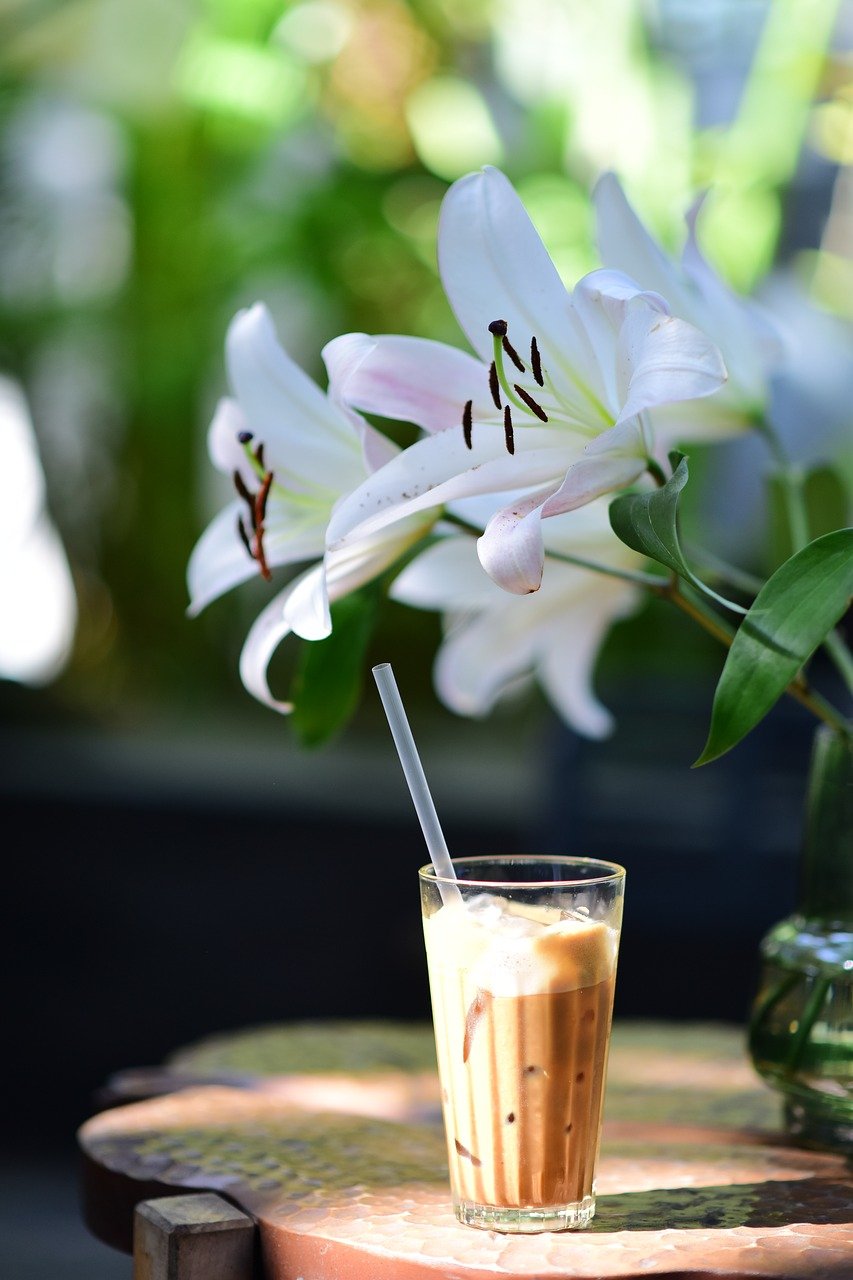 Iskaffe trends 2024: De sejeste to go drikkeglas på markedet