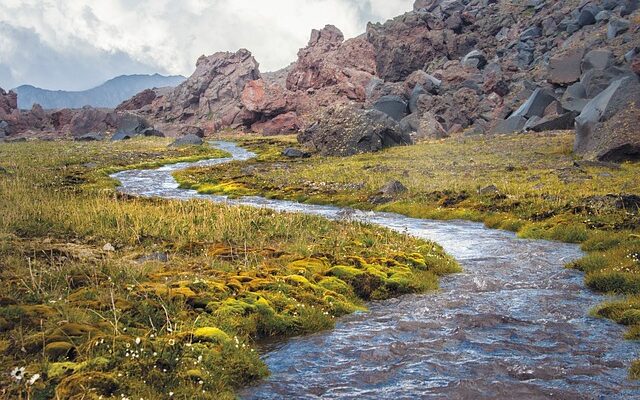 Jordforbindelse: Naturens rolle i mental sundhed