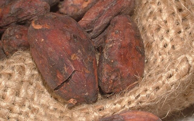 Fra bønne til nibs: En rejse ind i kakaoverdenen